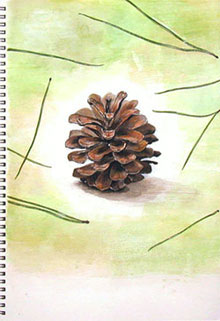 松ぼっくりの水彩画：映画「同じ月を見ている」使用絵画