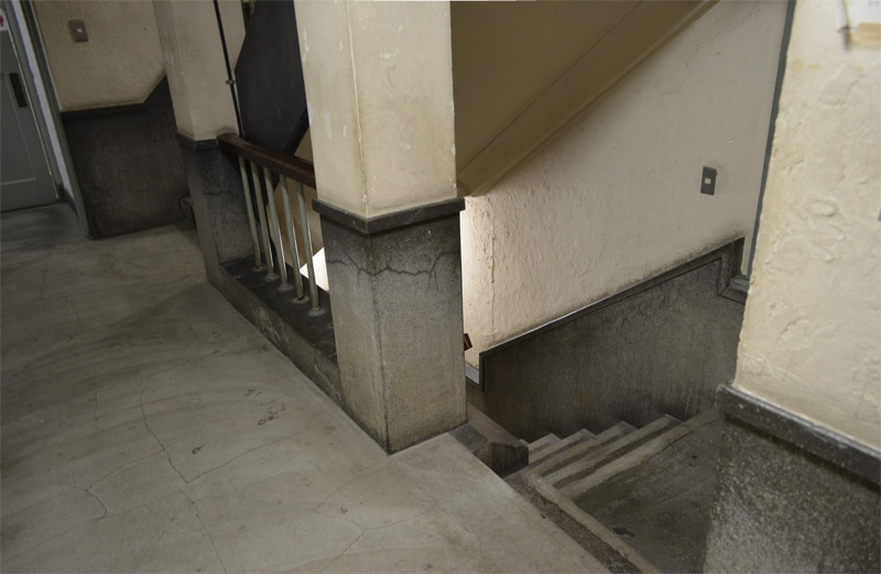 2014年展示記録（東急百貨店たまプラーザ店4階アートサロン、Gallery銀座フォレスト）展示風景写真