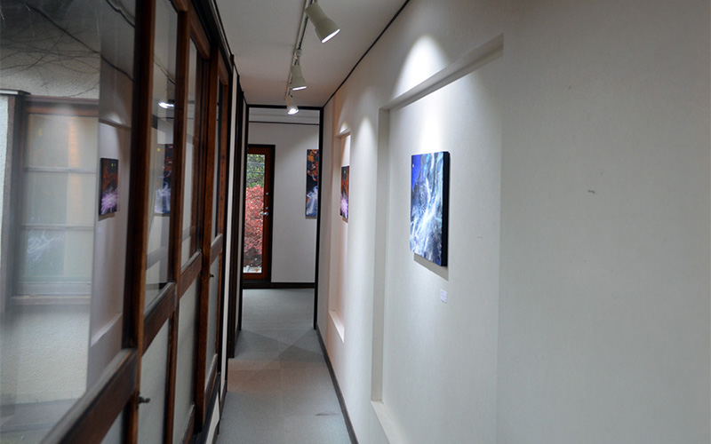 2015年個展記録（Galleryやさしい予感）展示風景写真