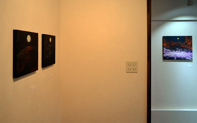 2015年個展記録（Galleryやさしい予感）展示風景写真