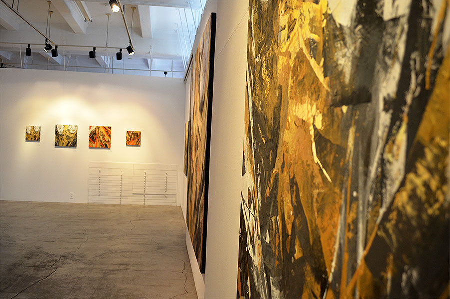 2017年個展記録（ギャルリーパリ）展示風景写真